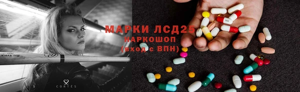 spice Алзамай