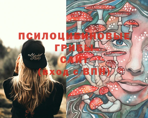 spice Алзамай