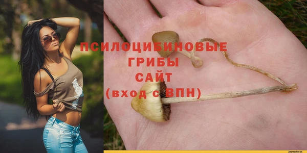 spice Алзамай
