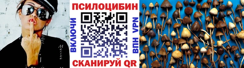 Галлюциногенные грибы Psilocybe  кракен ССЫЛКА  Красноуральск 